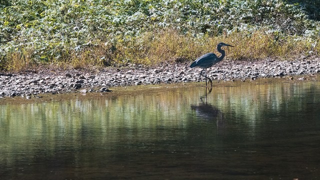Shaw Bridge-231011 78